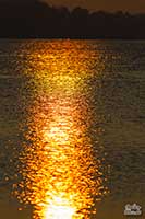 Beispielbild 1